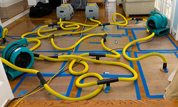Professional Water Extraction technician working in Mooseheart, IL